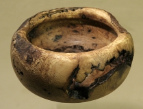 tölgyfa tumor